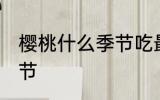 樱桃什么季节吃最好 吃樱桃的最佳季节