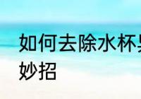 如何去除水杯异味 去除水杯异味的小妙招