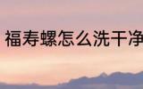 福寿螺怎么洗干净 福寿螺如何洗干净
