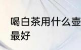 喝白茶用什么壶最好 喝白茶用哪些壶最好