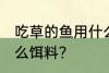 吃草的鱼用什么最好钓 草鱼喜欢吃什么饵料？