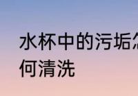 水杯中的污垢怎么去 水杯中的污垢如何清洗