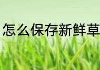 怎么保存新鲜草鱼 新鲜草鱼怎么保存