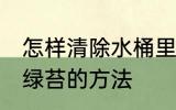 怎样清除水桶里的青苔 清除水桶里的绿苔的方法